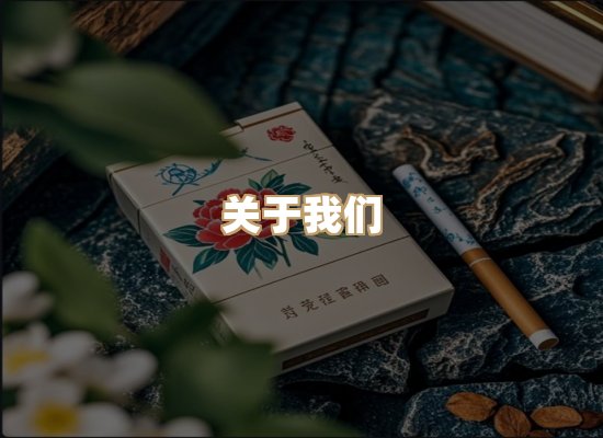 关于朗雅香烟网
